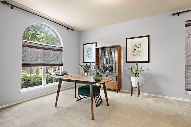 8706 Fenton Dr, Austin, TX 78736 - photo 8