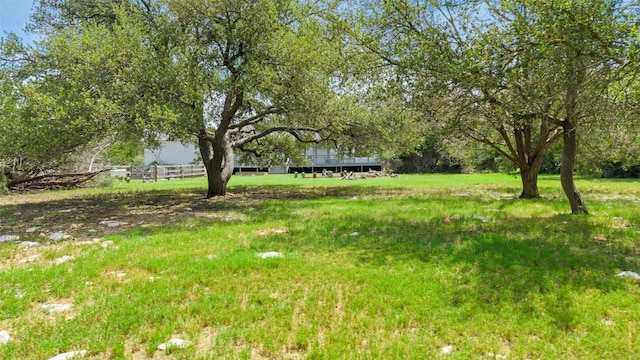 208 Saddletree Ln, Dripping Springs, TX 78620 - photo 37