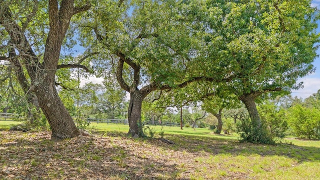 208 Saddletree Ln, Dripping Springs, TX 78620 - photo 12