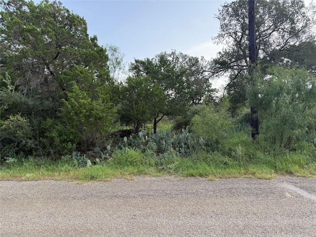 LOT424 Oakhill Dr, Granite Shoals, TX 78654 - photo 6