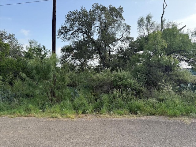 LOT424 Oakhill Dr, Granite Shoals, TX 78654 - photo 7