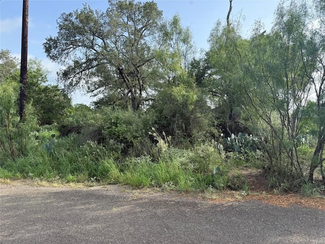 LOT424 Oakhill Dr, Granite Shoals, TX 78654 - photo 8