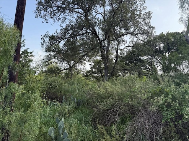 LOT424 Oakhill Dr, Granite Shoals, TX 78654 - photo 2