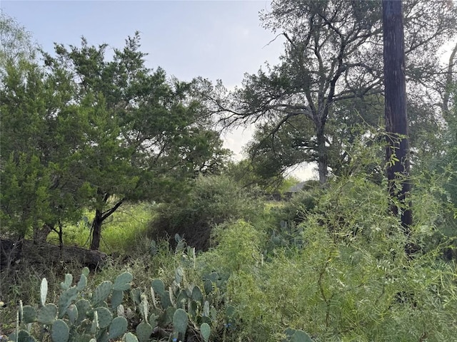 LOT424 Oakhill Dr, Granite Shoals, TX 78654 - photo 3