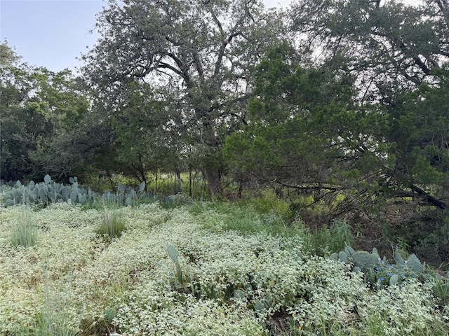 LOT424 Oakhill Dr, Granite Shoals, TX 78654 - photo 4