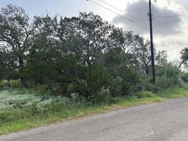 LOT424 Oakhill Dr, Granite Shoals, TX 78654 - photo 5