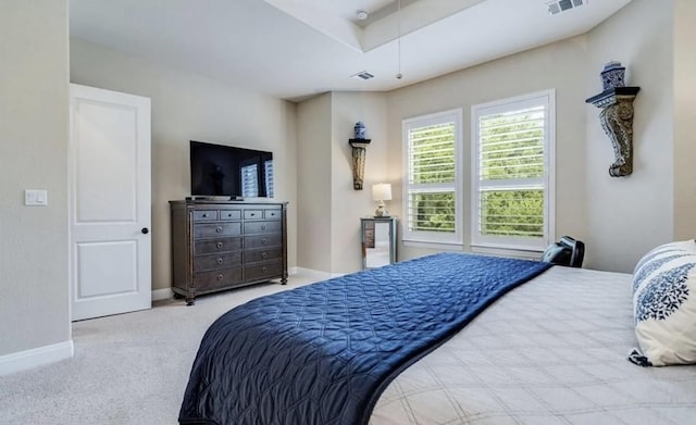317 Buffalo Cave Rd, Georgetown, TX 78628 - photo 14