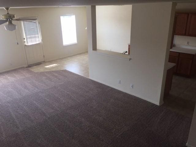 309 Abamillo Ct, Hutto, TX 78634 - photo 6