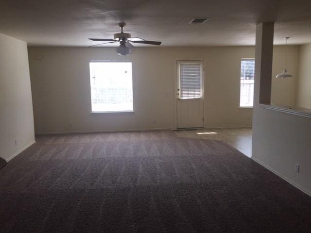 309 Abamillo Ct, Hutto, TX 78634 - photo 8