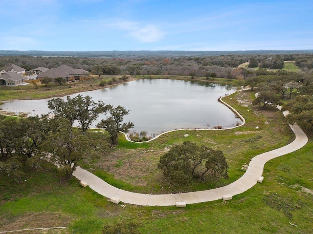 454 Trout River Rd, Kyle, TX 78640 - photo 31