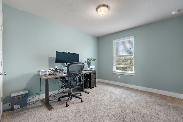 3605 Talladega Trce, Austin, TX 78728 - photo 20