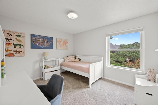 10807 Redmond Rd, Austin, TX 78739 - photo 25
