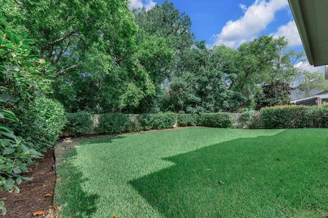 1925 Chasewood Dr, Austin, TX 78727 - photo 34