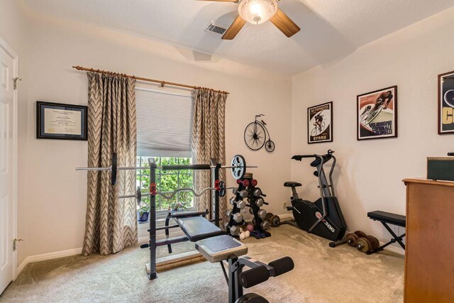 10212 Rhett Butler Dr, Austin, TX 78739 - photo 28