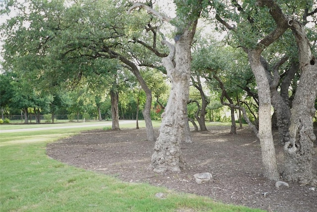 602 Parkline Dr Unit 12A, Georgetown, TX 78626 - photo 31
