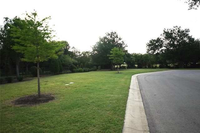 602 Parkline Dr Unit 12A, Georgetown, TX 78626 - photo 24