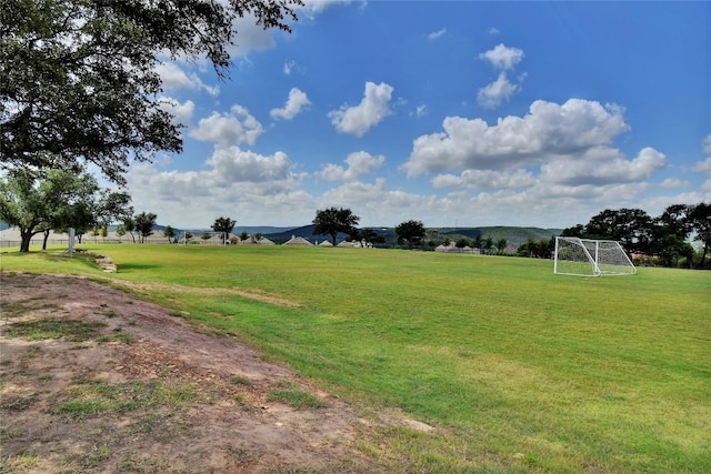 4313 Orange Blossom Pass, Leander, TX 78641 - photo 40