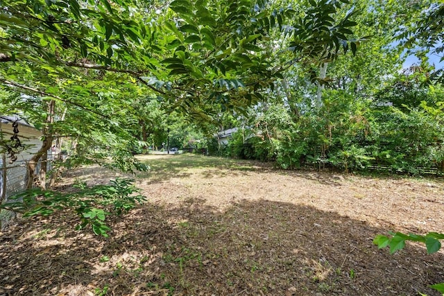11171/4 Gunter St, Austin, TX 78702 - photo 29