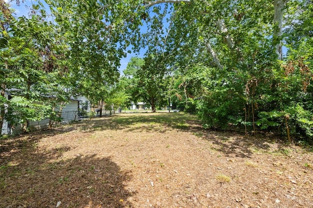 11171/4 Gunter St, Austin, TX 78702 - photo 33