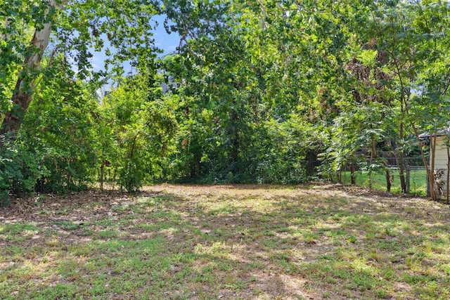 11171/4 Gunter St, Austin, TX 78702 - photo 35
