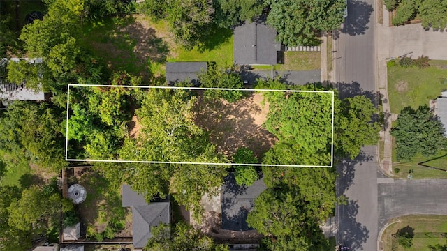 11171/4 Gunter St, Austin, TX 78702 - photo 5