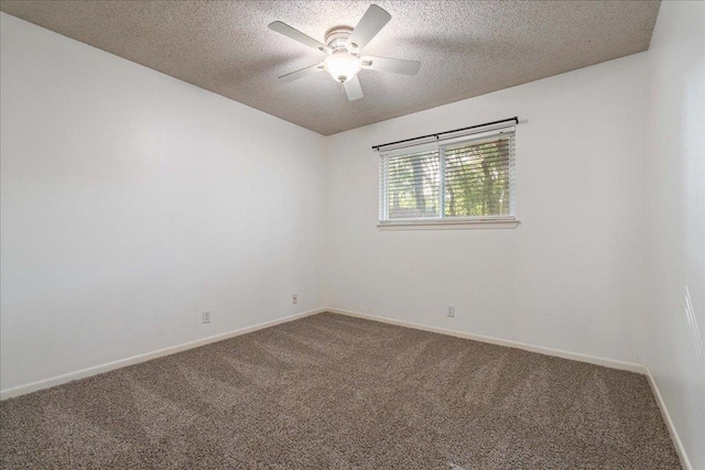 4902 Duval Rd Unit N2, Austin, TX 78727 - photo 15