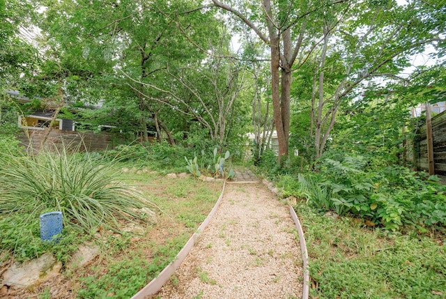 2102 E 17th St, Austin, TX 78702 - photo 35