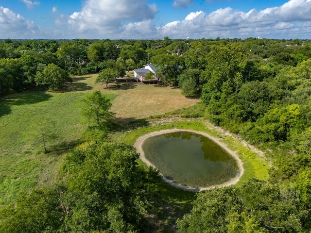 1210 Springridge St, Round Rock, TX 78664 - photo 3