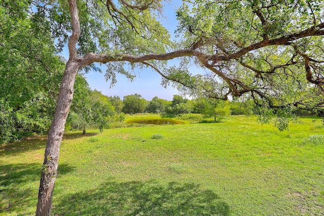 1210 Springridge St, Round Rock, TX 78664 - photo 37