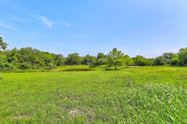 1210 Springridge St, Round Rock, TX 78664 - photo 38