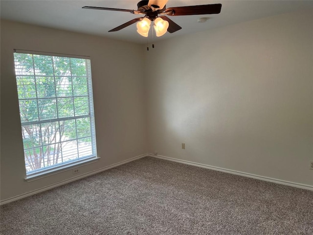 8104 Ephraim Rd, Austin, TX 78717 - photo 19