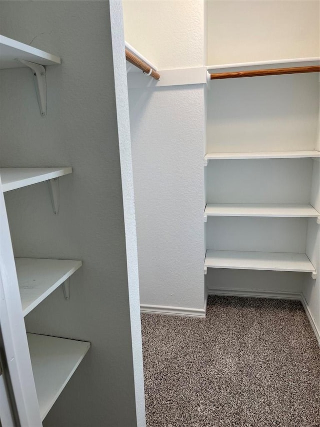 8104 Ephraim Rd, Austin, TX 78717 - photo 20