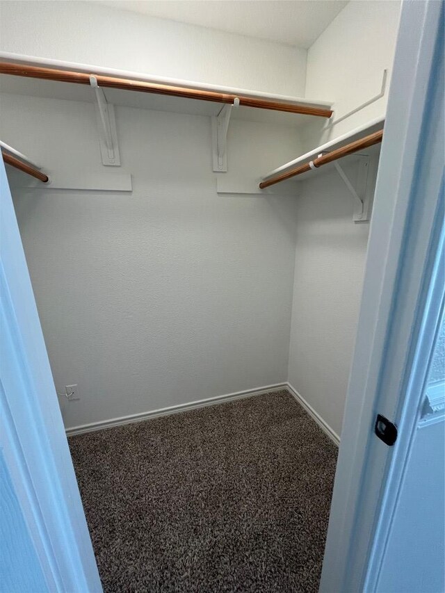 8104 Ephraim Rd, Austin, TX 78717 - photo 22