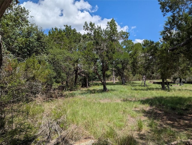 5165 Lone Man Mountain Rd, Wimberley, TX 78676 - photo 1