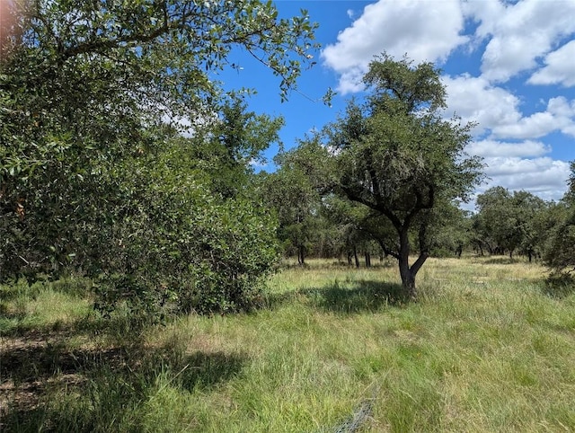 5165 Lone Man Mountain Rd, Wimberley, TX 78676 - photo 2
