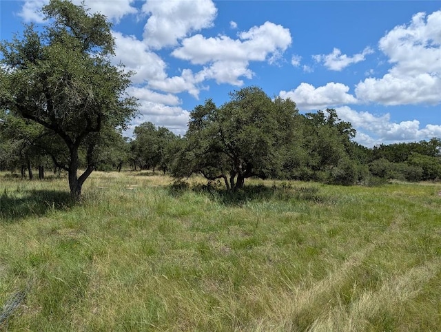 5165 Lone Man Mountain Rd, Wimberley, TX 78676 - photo 3