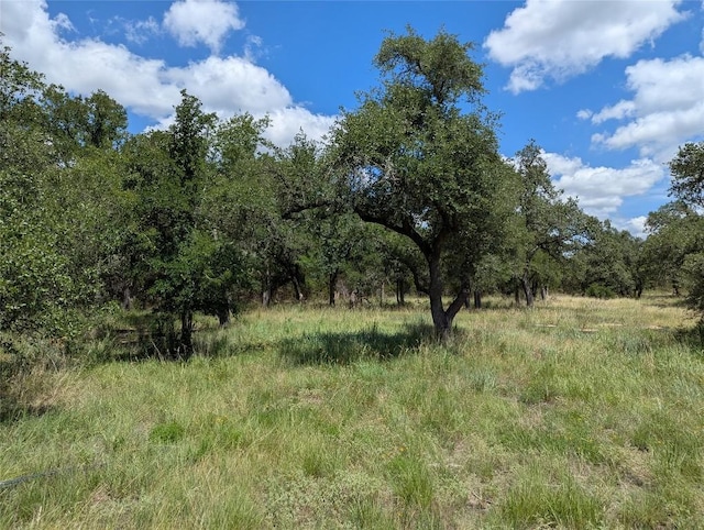 5165 Lone Man Mountain Rd, Wimberley, TX 78676 - photo 4
