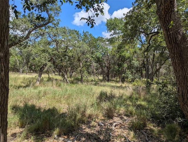5165 Lone Man Mountain Rd, Wimberley, TX 78676 - photo 6