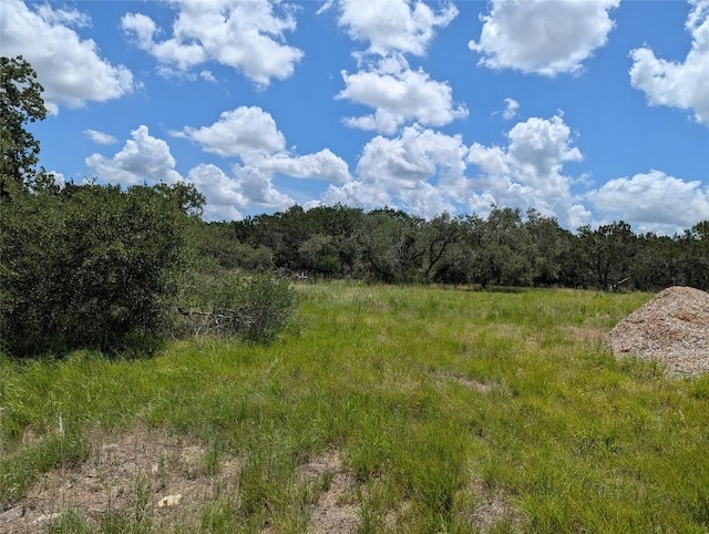 5165 Lone Man Mountain Rd, Wimberley, TX 78676 - photo 8