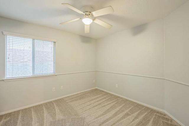 1124 Evergreen Farm Dr, Temple, TX 76502 - photo 16