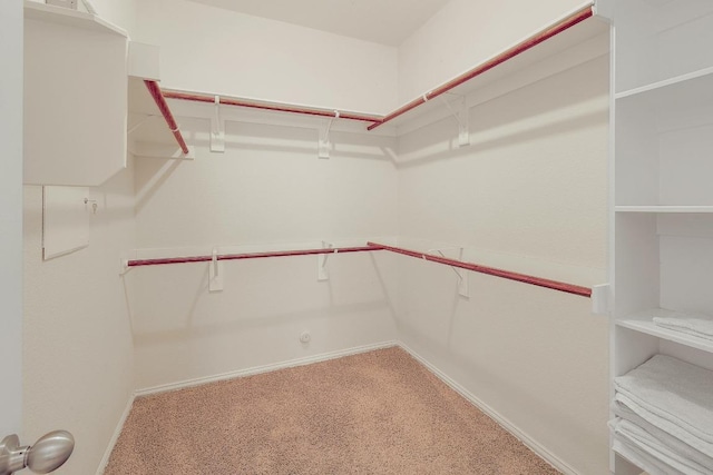 4511 Zacharys Run, Cedar Park, TX 78613 - photo 25