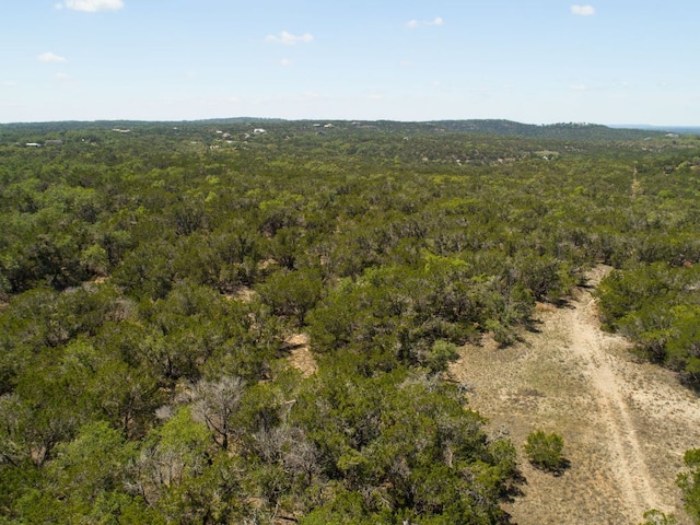 00 Martin Rd, Dripping Springs, TX 78620 - photo 4