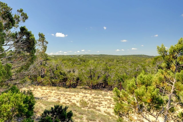 00 Martin Rd, Dripping Springs, TX 78620 - photo 5