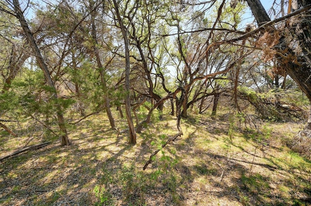 00 Martin Rd, Dripping Springs, TX 78620 - photo 10