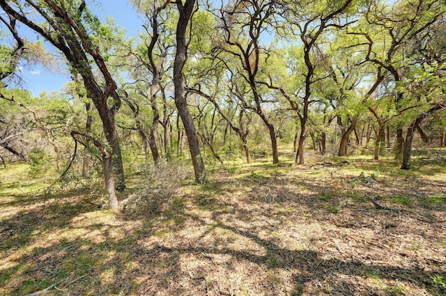 00 Martin Rd, Dripping Springs, TX 78620 - photo 11