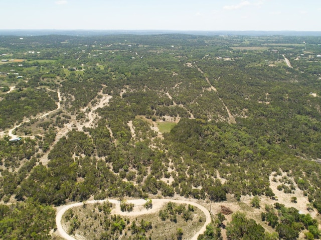 00 Martin Rd, Dripping Springs, TX 78620 - photo 12