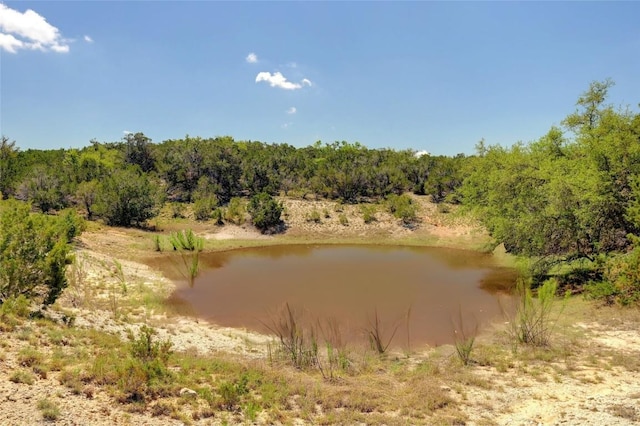 00 Martin Rd, Dripping Springs, TX 78620 - photo 14