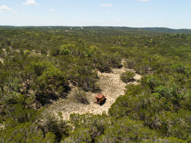 00 Martin Rd, Dripping Springs, TX 78620 - photo 17