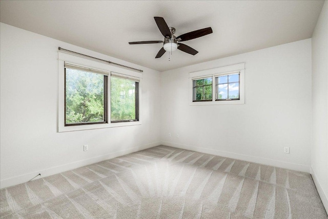 2606 W 49th St, Austin, TX 78731 - photo 22