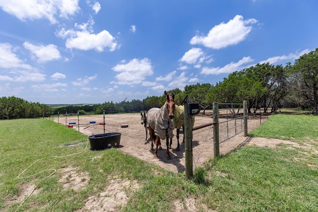 3295 County Road 206, Lampasas, TX 76550 - photo 10